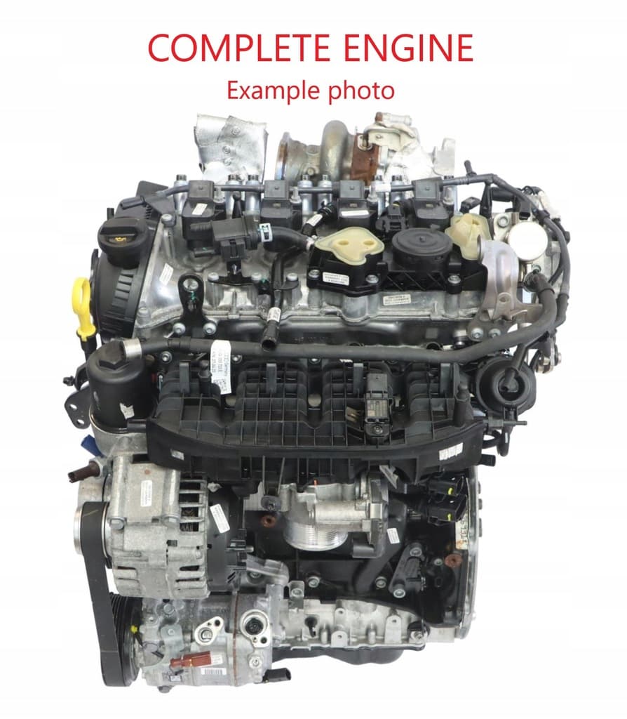 Moteur DNFF pour Cupra