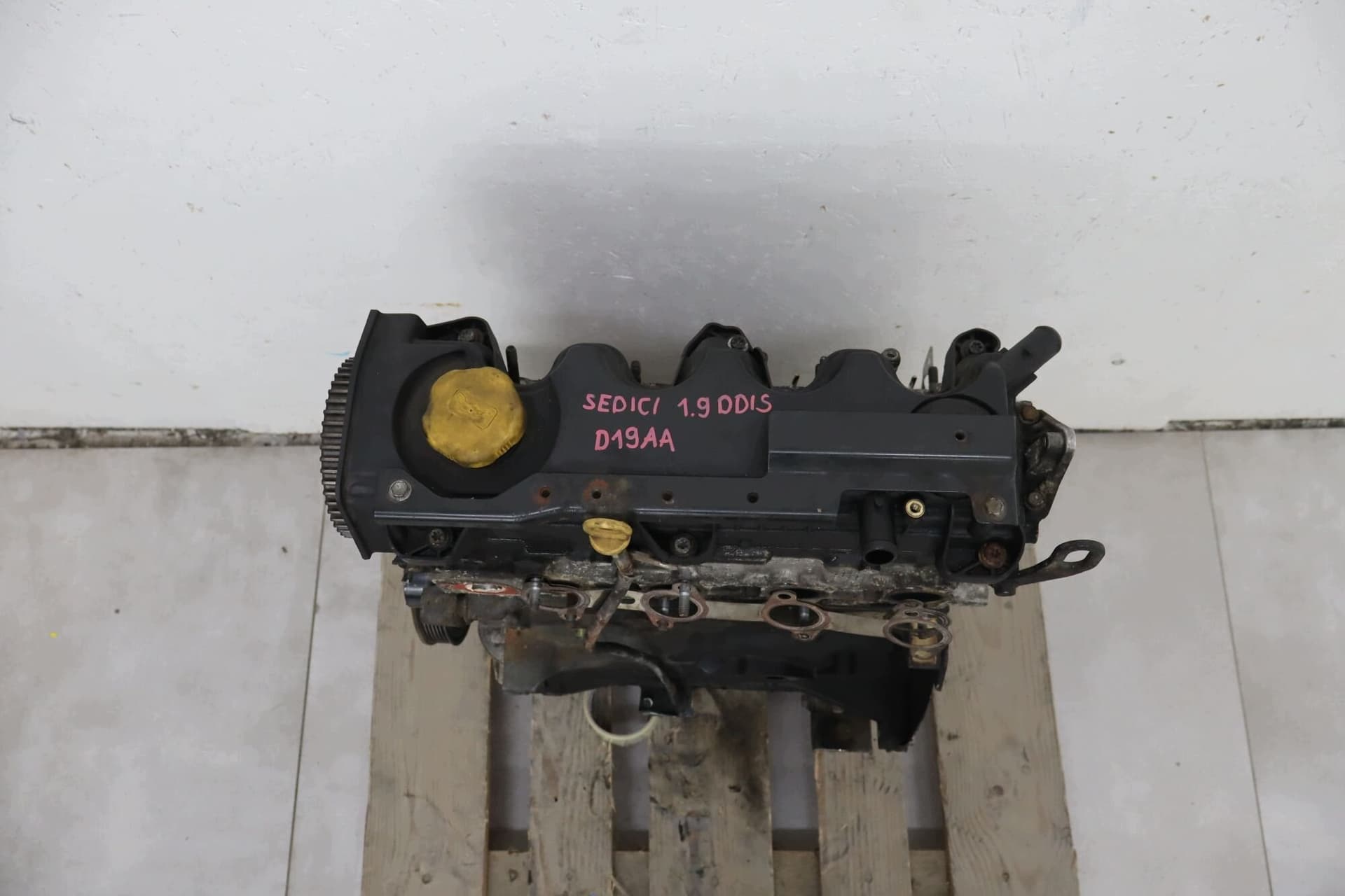 Moteur D19AA pour Fiat