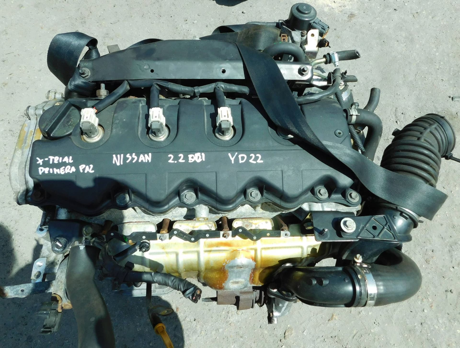 Moteur YD22DDT pour Nissan Primera