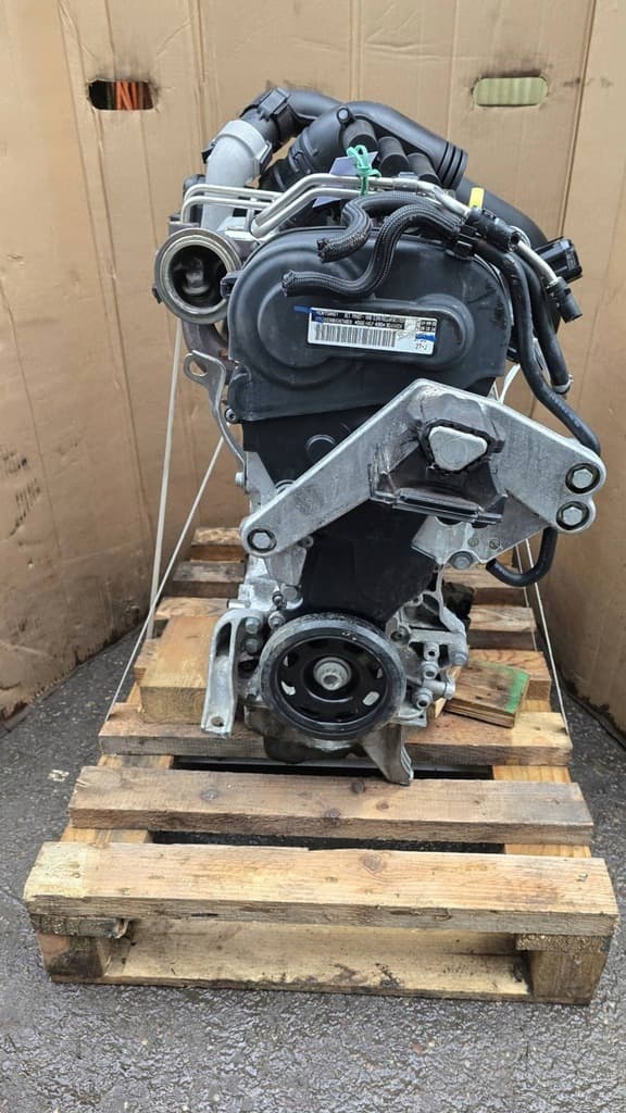 Moteur DGEB pour Cupra
