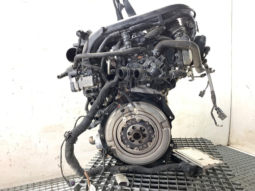 Moteur DGEA pour Cupra