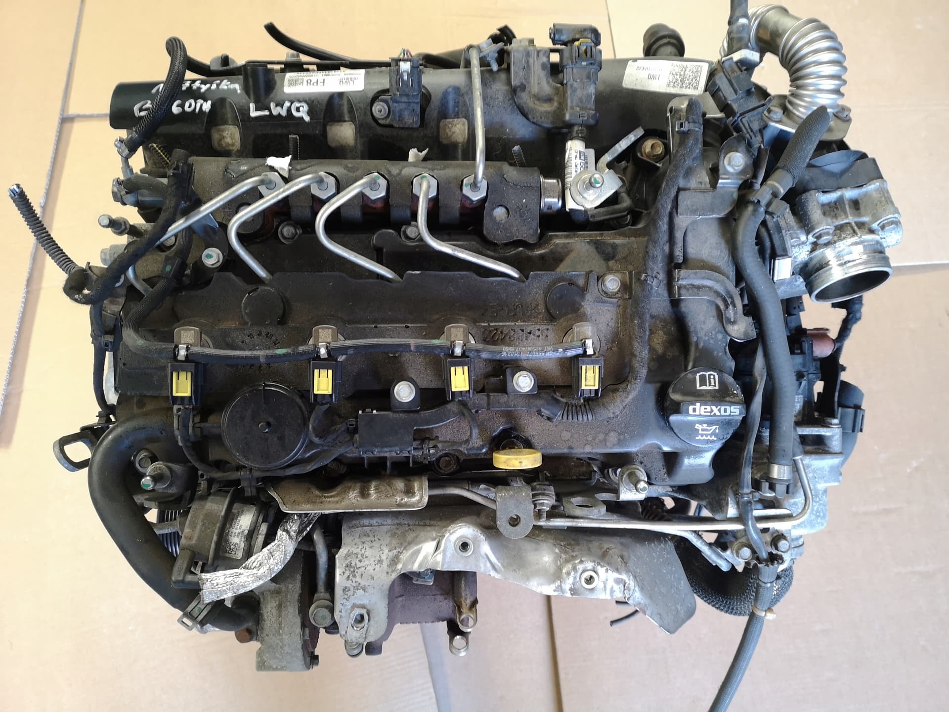 Moteur B 16 DTH (DV6FC) pour Opel Zafira